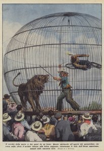De cirkel van de dood op een steenworp afstand van een leeuw
