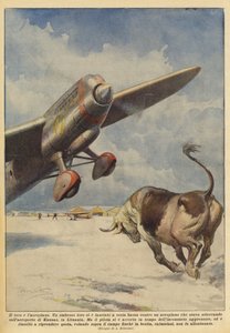 De stier en het vliegtuig