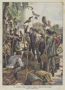 De karakteristieke vogelmarkt in Cisano, aan het Gardameer