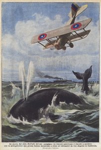 De jacht vanuit de lucht door Achille Beltrame