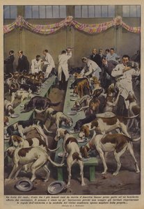 Het feest van de honden door Achille Beltrame