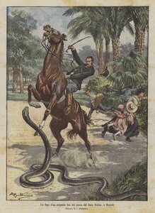 De ontsnapping van een boa-slang in het park van Buen Retiro, in Madrid