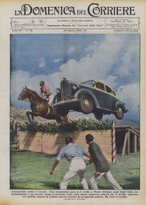 De auto tegen het paard