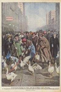 De Amerikaanse eigenaardigheden, een ganzenrace op Madison Avenue in New York, voor de opening ?