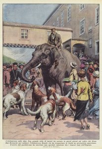De olifant op de Alpen door Achille Beltrame