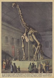 Het skelet van het grootste landdier dat ooit heeft bestaan, de brachiosaurus