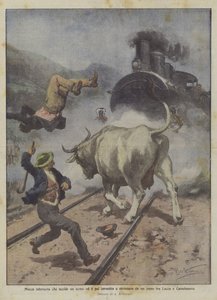 Woedende koe die een man doodt en vervolgens wordt aangereden en verpletterd door een trein tussen Lucca en Castelnuovo