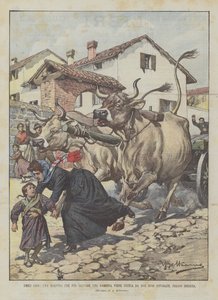 Nederige helden, een lerares die wordt gedood door twee woedende ossen terwijl ze een meisje probeert te redden bij Brescia