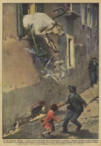 Een acrobatische os