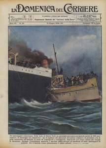 Een uitzonderlijke redding