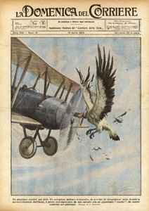 Een bijzondere confrontatie in de lucht door Achille Beltrame