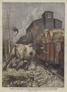 Een stier die zich tegen een goederentrein werpt en deze doet ontsporen bij het station van Belmonte Calabro