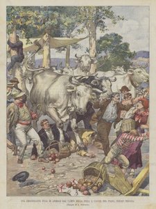 Een spannende ontsnapping van dieren uit het kermisterrein in Castel del Piano, bij Perugia
