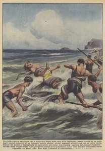 Een mooie Amerikaanse dame, die zich aan het baden was aan de kust van Californië, werd omhuld