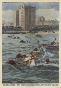 Een vaardigheidswedstrijd op de Rodeo van Chicago