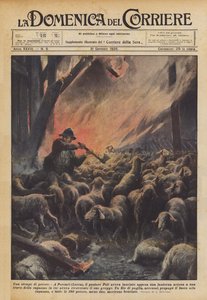 Een slachting van schapen