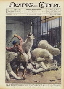 Een verschrikkelijke ruzie uit jaloezie brak uit in de berenkooi van een circus in Genua door Achille Beltrame