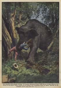 Een tragedie in de Afrikaanse jungle
