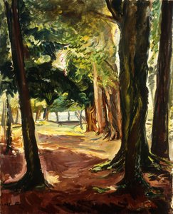 Bomen bij de Cote de Grace