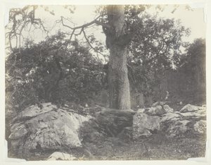 Bos en Rotsen, Fontainebleau door Achille Quinet