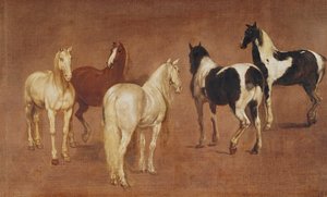 Studie van vijf paarden