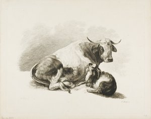 Stukje dier