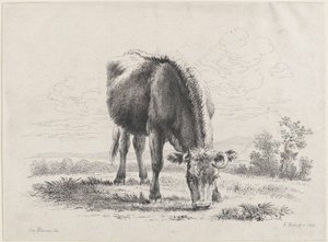 Koe die graast, 1805 door Adam von Bartsch