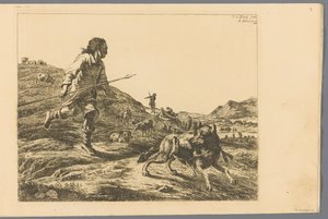Herder achtervolgt een wolf