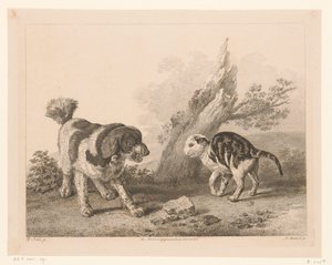 Hond en kat in vechthouding tegenover elkaar