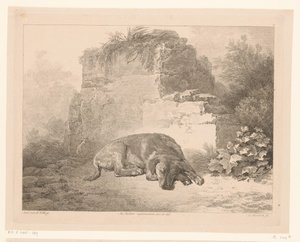 Slapende hond voor een muur (Dieren naar schilderijen van Hollandse meesters)
