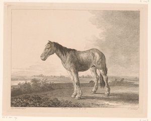 Staand paard in een rivierlandschap