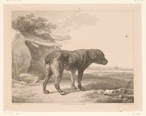 Staande hond in een landschap