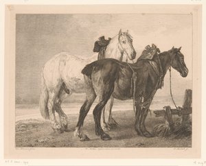 Twee paarden in rivierlandschap door Adam von Bartsch