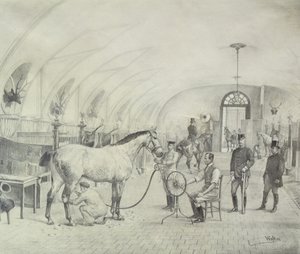 De koninklijke stallen: ochtendverzorging