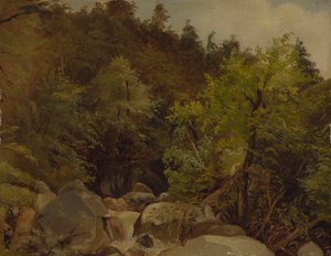 Waterval bij Ohlstadt door Adolf Heinrich Lier