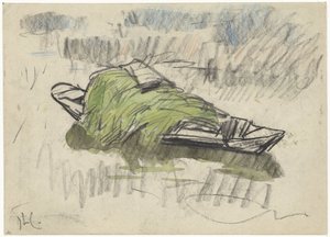 Schuit met gras