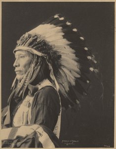 Bang voor adelaar, Sioux