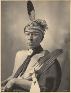 Mosteose (Heilig Konijn), Iowa