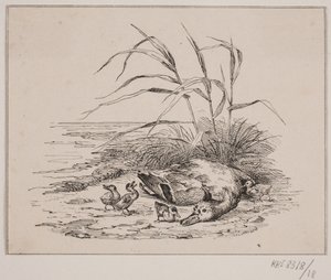 De gedode eend door Johan Adolph Kittendorff