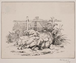 De Varkens