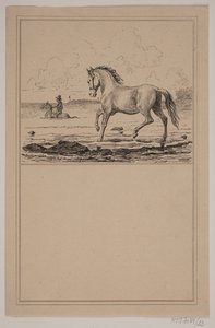 Het paard in het water. Nr. 22 in Chr. Winther en M. Rørbye, "25 Afbeeldingen voor kleine kinderen"