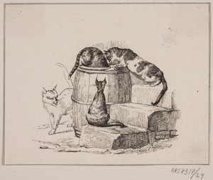 De katten