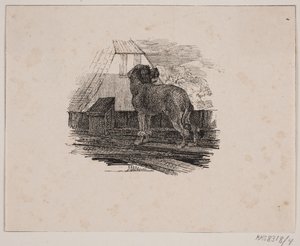 De poedel door Johan Adolph Kittendorff