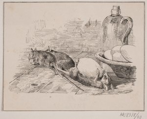De ratten