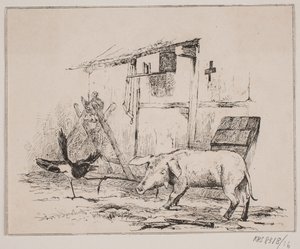 Skaden en het varken
