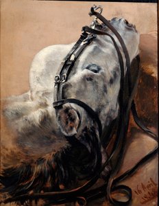 Paardenstudie. Hoofd liggend, in het tuig door Adolph Menzel