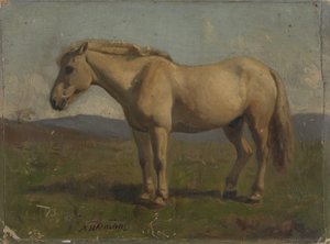  door Adolph Tidemand