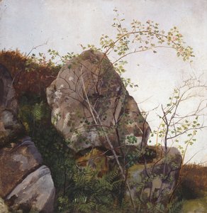  door Adolph Tidemand