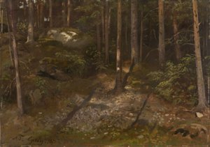  door Adolph Tidemand