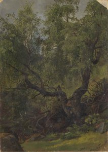  door Adolph Tidemand
